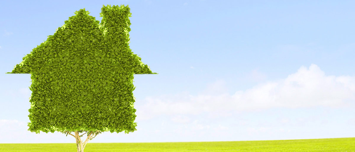 Klima, Klimaschutz, Grün, Umwelt, Nachhaltigkeit, Ressourcen