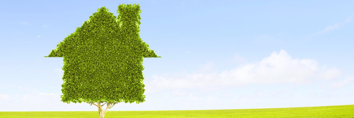 Klima, Klimaschutz, Grün, Umwelt, Nachhaltigkeit, Ressourcen