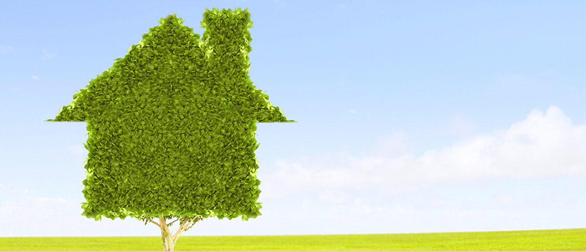 Klima, Klimaschutz, Grün, Umwelt, Nachhaltigkeit, Ressourcen