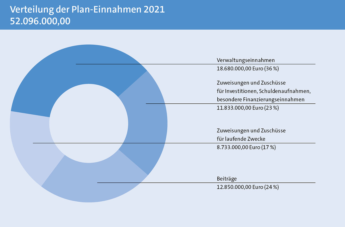 Grafik Verteilung der Plan-Einnahmen 2021