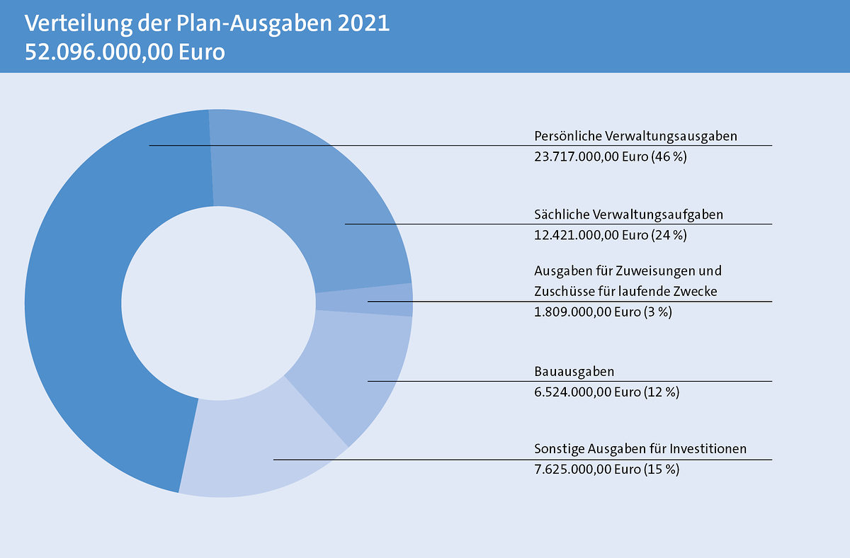 Grafik Verteilung der Plan-Ausgaben 2021