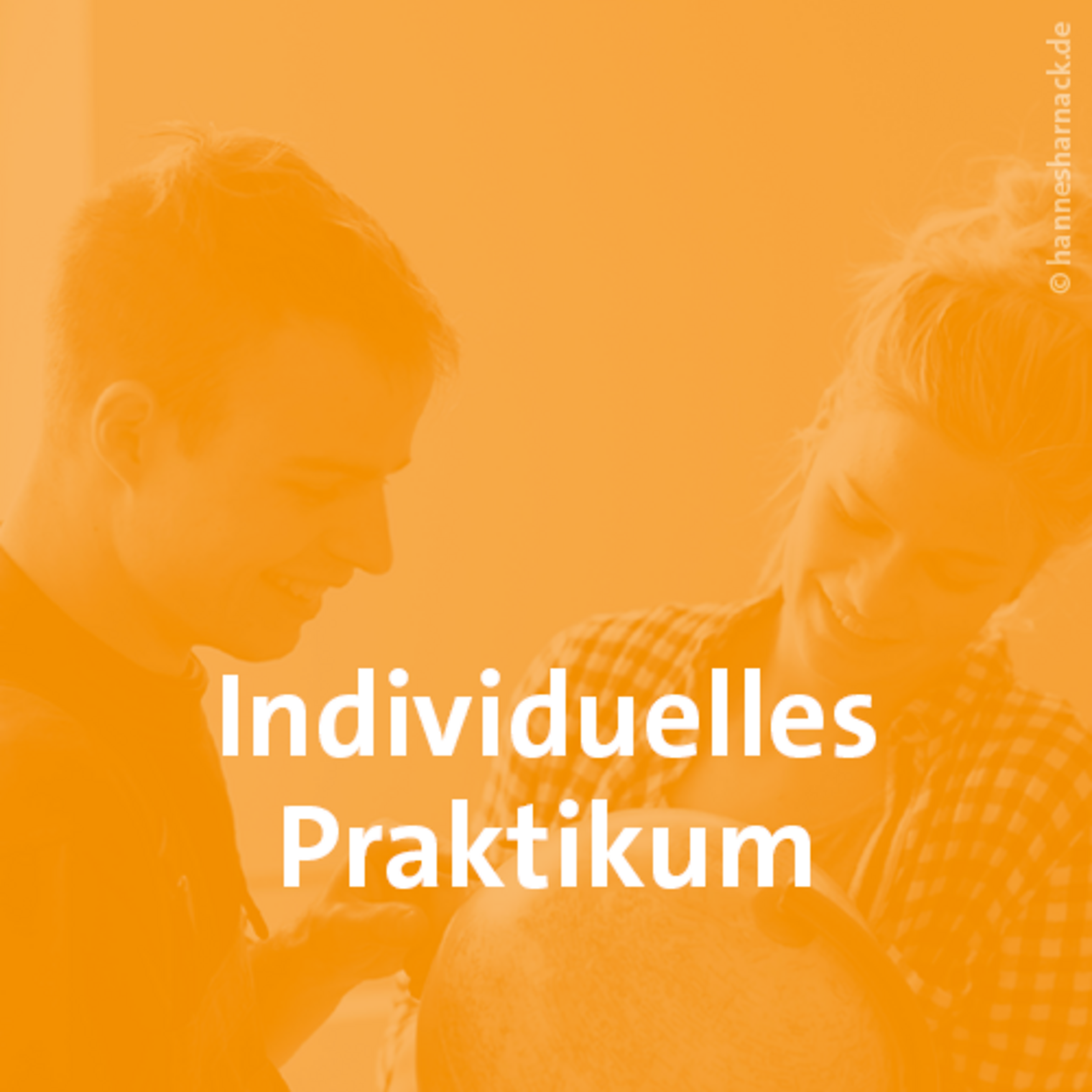 Icon Individuelles Praktikum