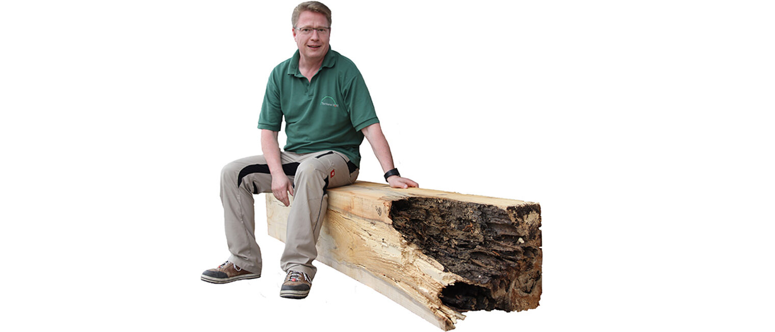 Durch das Holz aus dem Wolfsburger Stadtforst kann Geert van Munster deutlich nachhaltiger produzieren. 