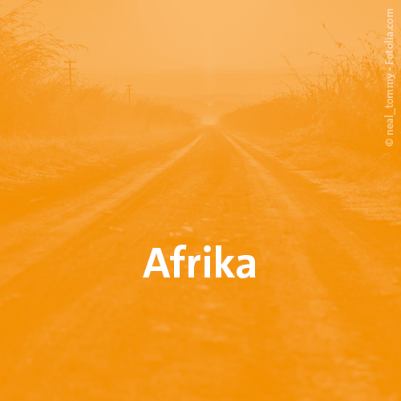 Icon Afrika