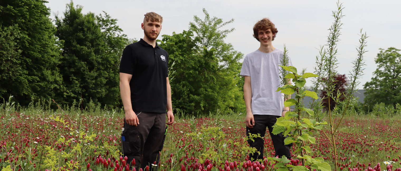 Nico Wille und Niklas Kaczor sind Azubis im zweiten Lehrjahr. Hier stehen sie inmitten des entstehenden NDB-Firmenhabitats.