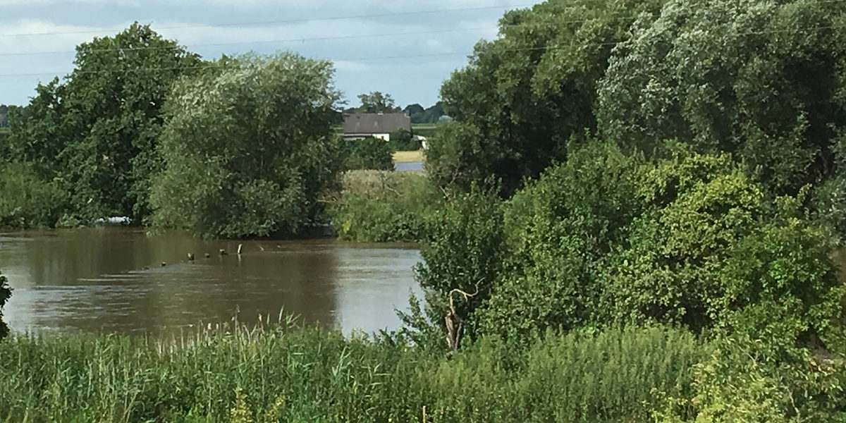 Hochwasser, Überschwemmung, Überflutung, Naturkatastrophe, Wiese, See