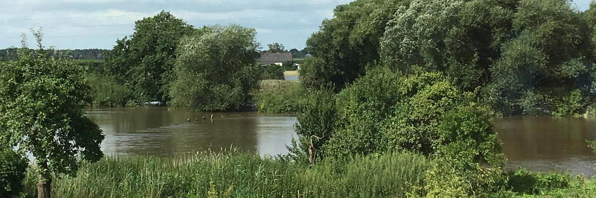 Hochwasser, Überschwemmung, Überflutung, Naturkatastrophe, Wiese, See