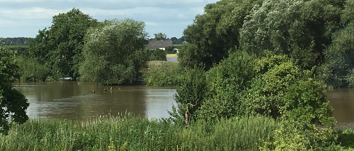 Hochwasser, Überschwemmung, Überflutung, Naturkatastrophe, Wiese, See